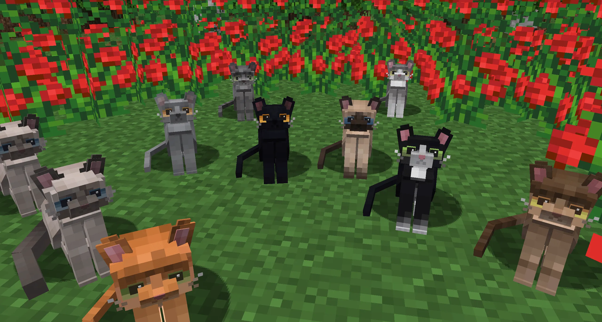 Refined Cats, Текстуры, Minecraft