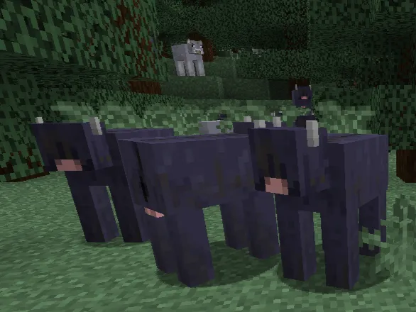 cows by rosie, Текстуры, Minecraft