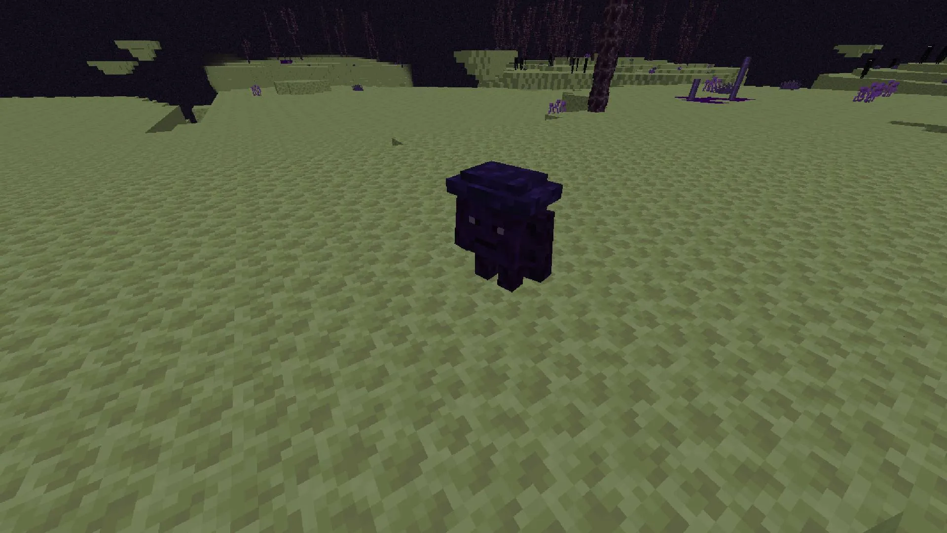 The Forgotten End, Моды, Minecraft