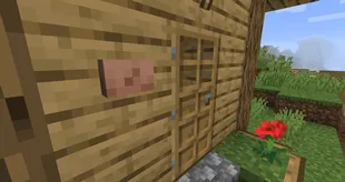 Belly Button (Fabric), Моды, Minecraft