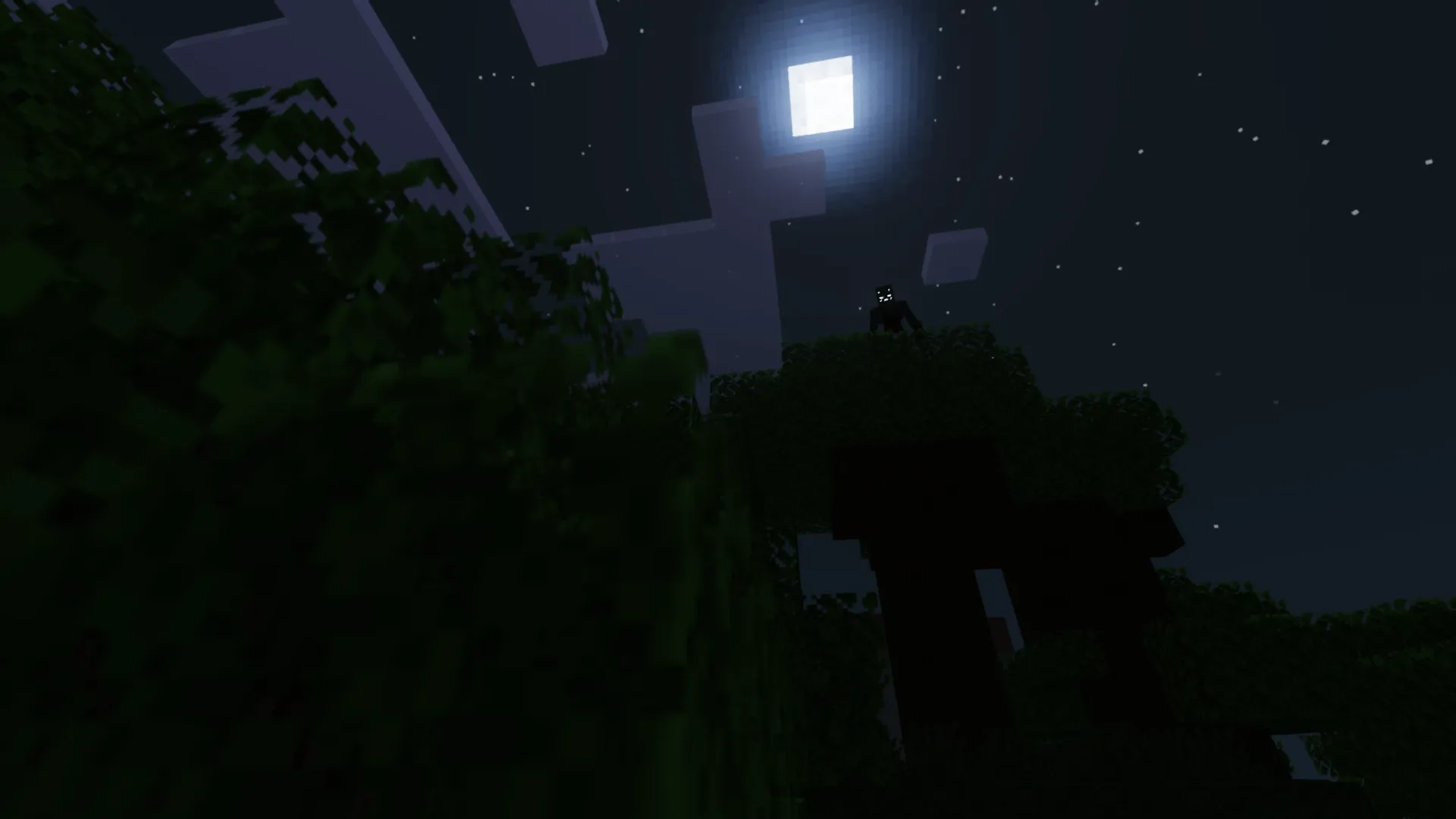 Shadow Stalker, Моды, Minecraft