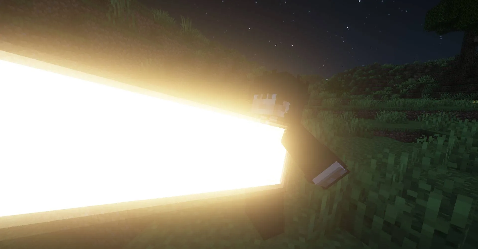 The Boys : New world, Моды, Minecraft