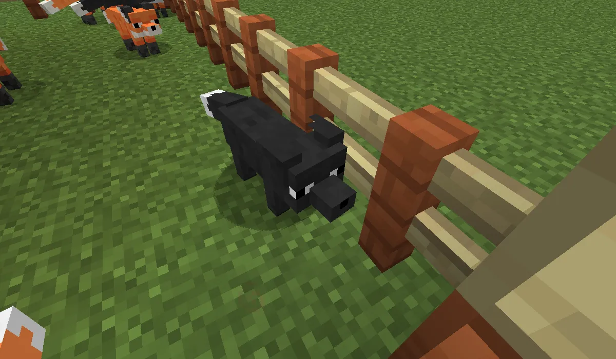 Outfox Fox Variants — скриншот 3 (Текстуры, Minecraft)