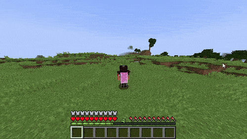 SuperMelonMod [Forge], Моды, Minecraft
