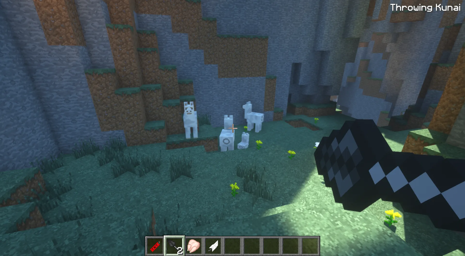ScrubCraft, Моды, Minecraft