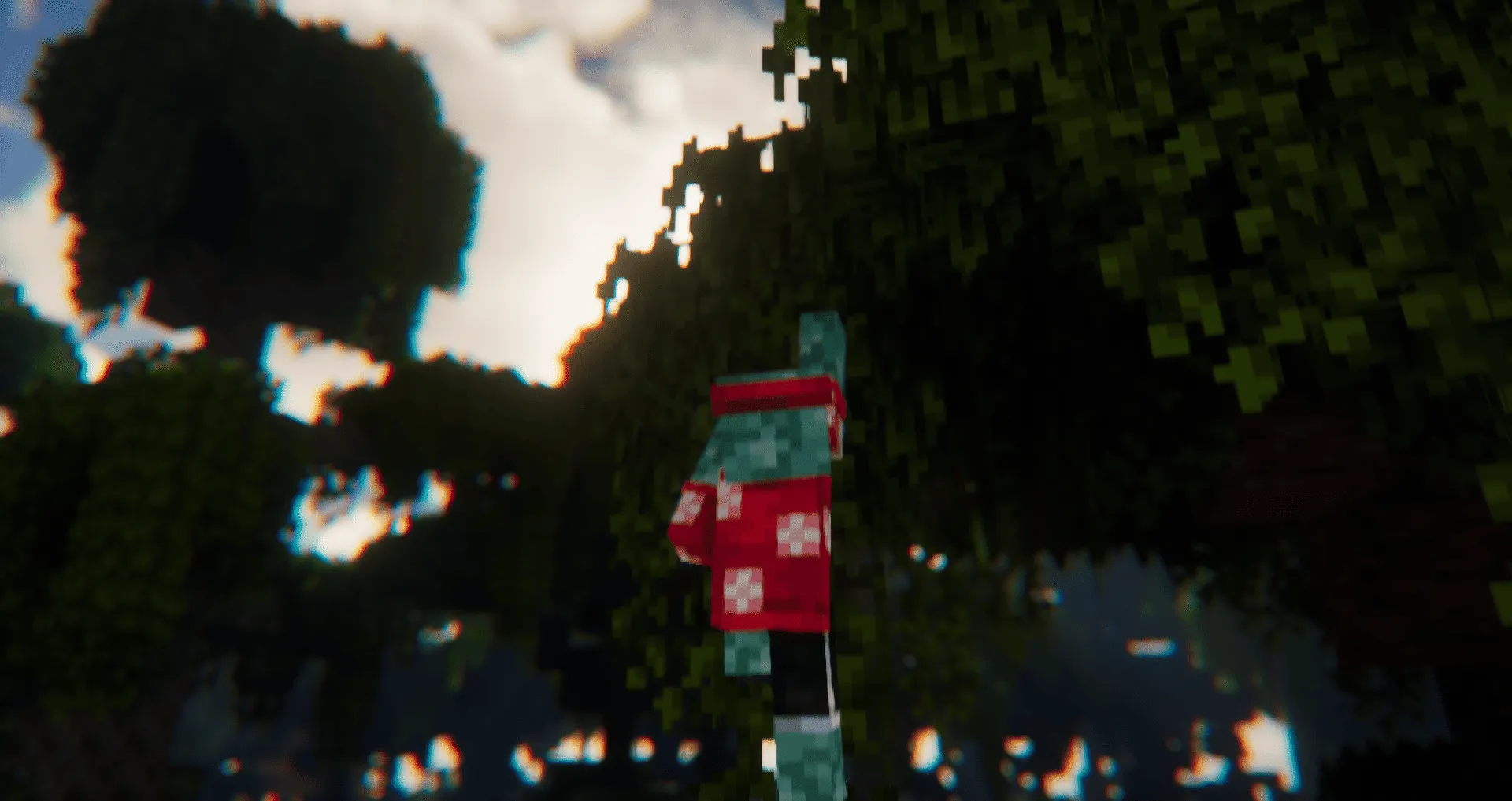 Detailed Animations Tester, Текстуры, Minecraft