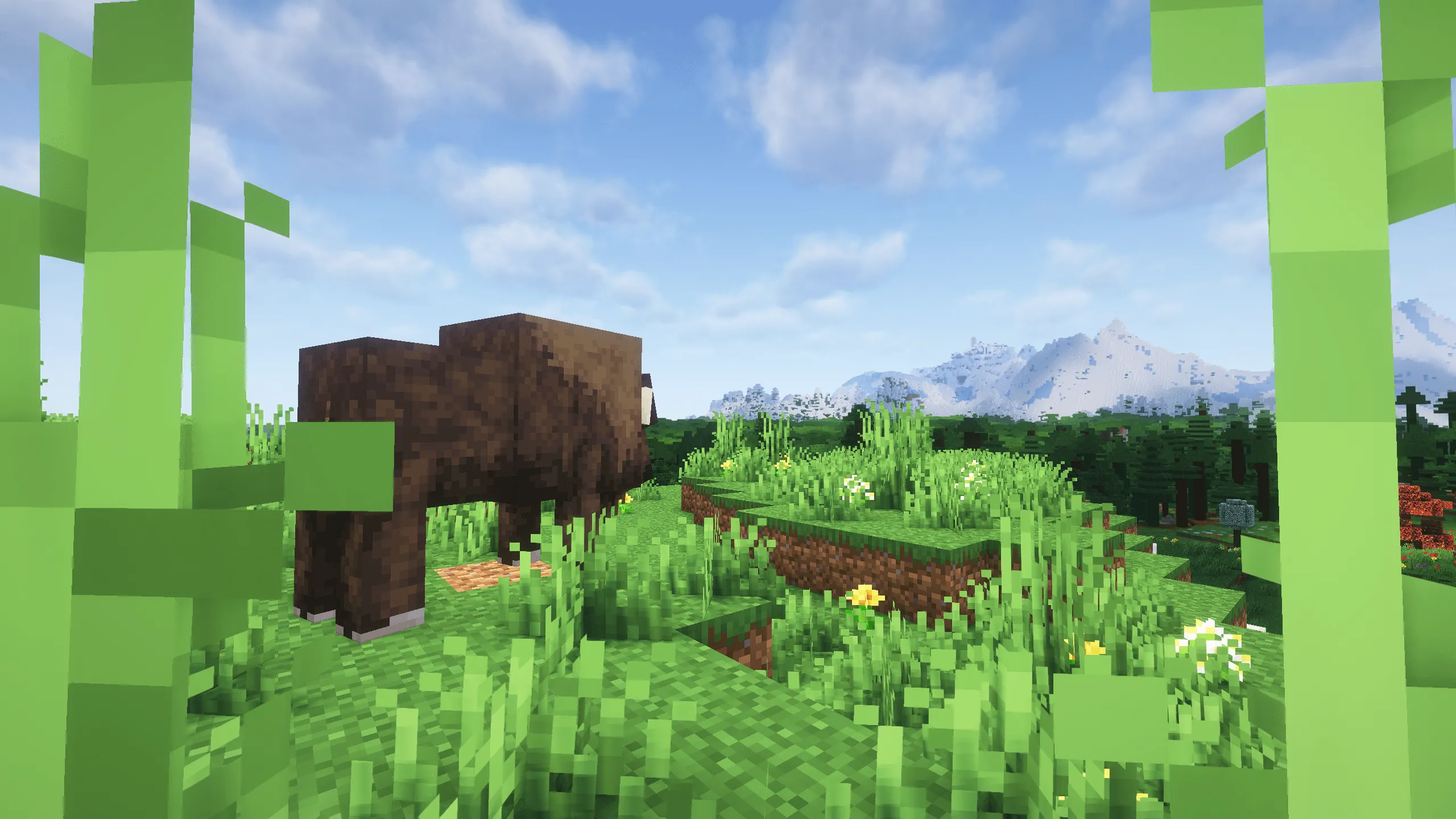 BTH - Beyond The Horizon, Модпаки, Minecraft