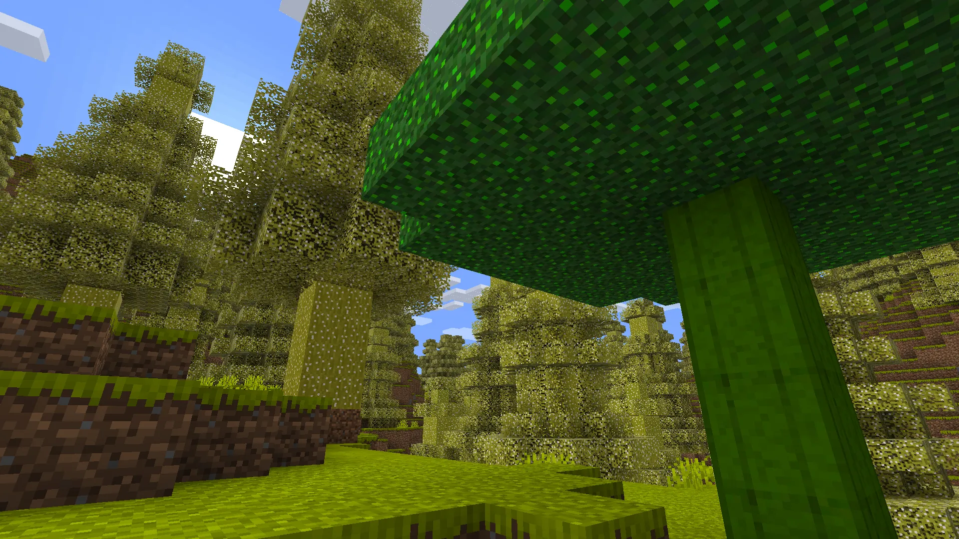 Extra Blocks, Items, and More!, Моды, Minecraft