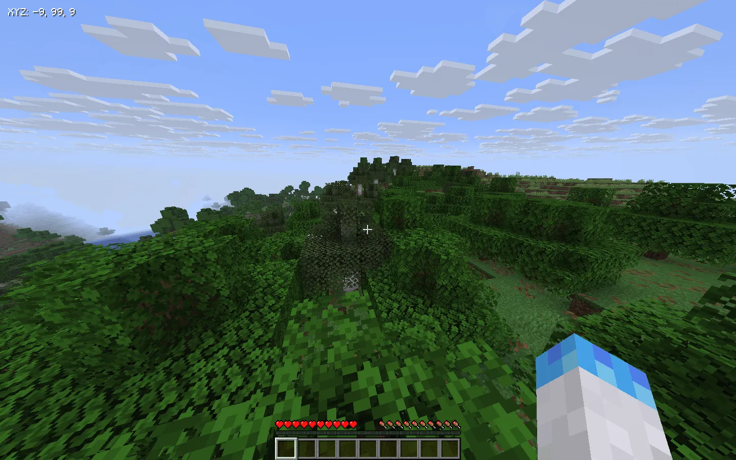 Show Coordinates, Моды, Minecraft