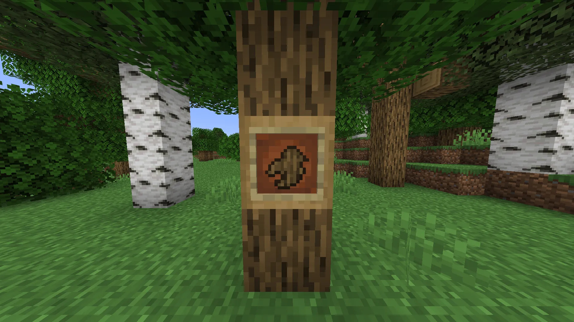 DRXcraft, Моды, Minecraft