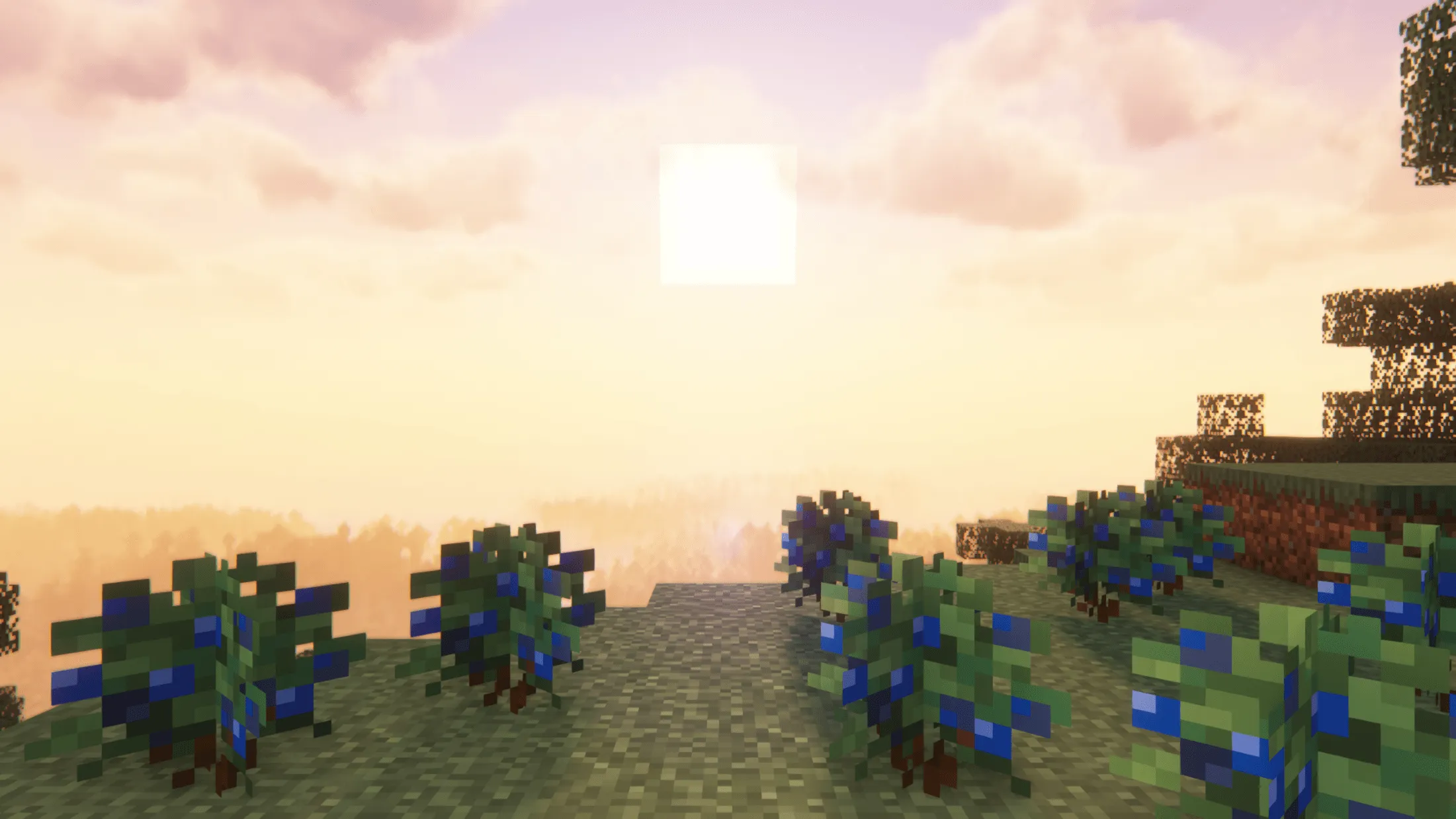 MoFlowers, Моды, Minecraft