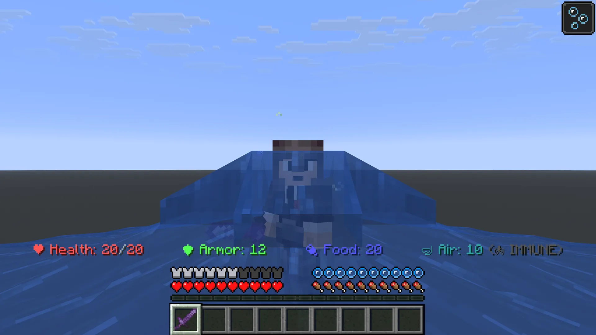 Professional Status Bar, Моды, Minecraft
