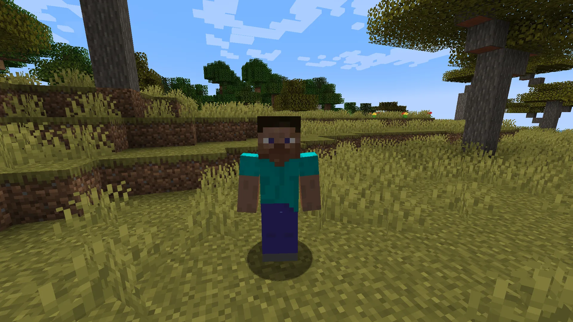 The Legend of Steve - The Ultimate Steve Overload! — скриншот 2 (Моды, Minecraft)