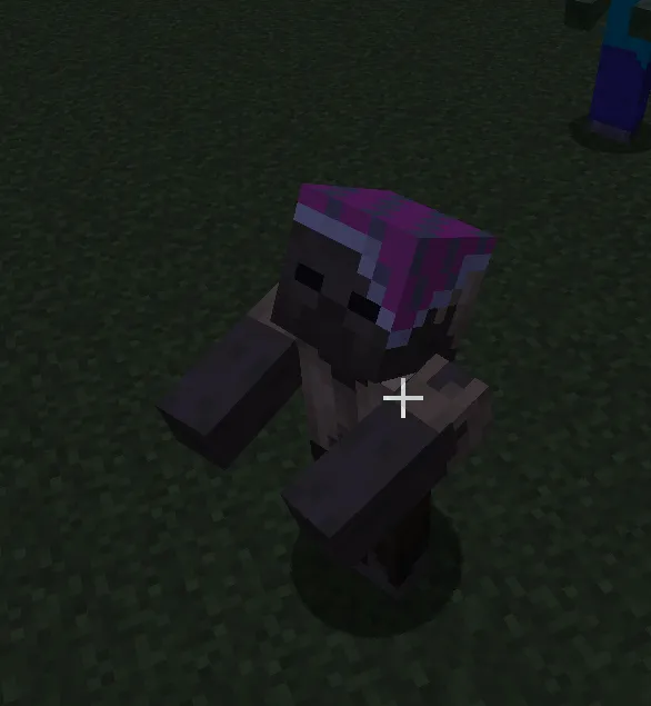 SirPigs Zombies, Текстуры, Minecraft