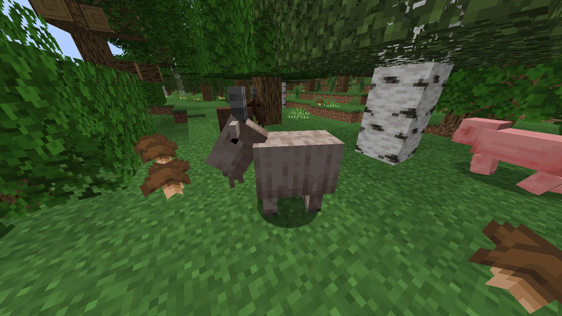 Sill Wild Design, Моды, Minecraft