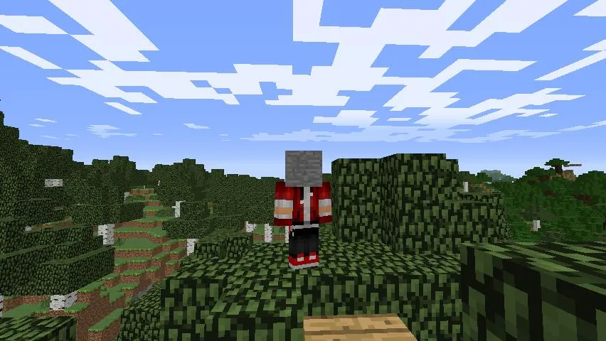 Hat Plugin, Плагины, Minecraft