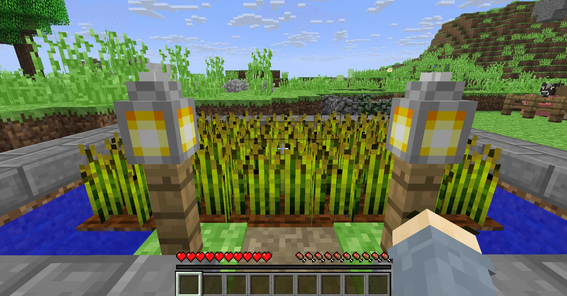 PixelPaw's Back To Nostalgia Pack, Текстуры, Minecraft