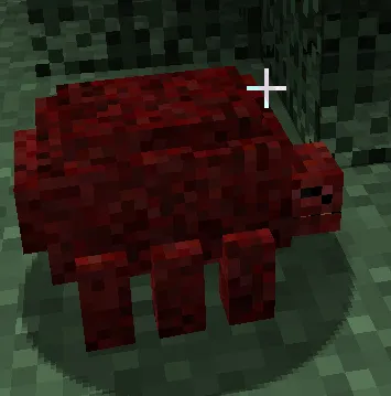 Vita Carni (Vita Carnis), Моды, Minecraft