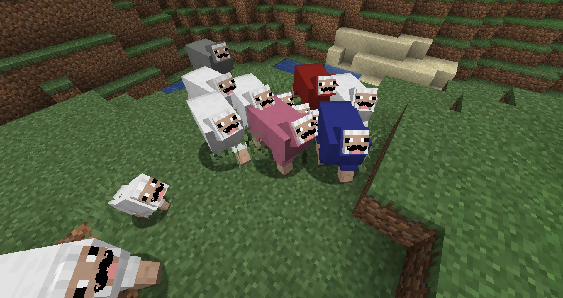 Mustache Sheep — скриншот 2 (Текстуры, Minecraft)