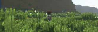 Darwin Sprinting System, Моды, Minecraft