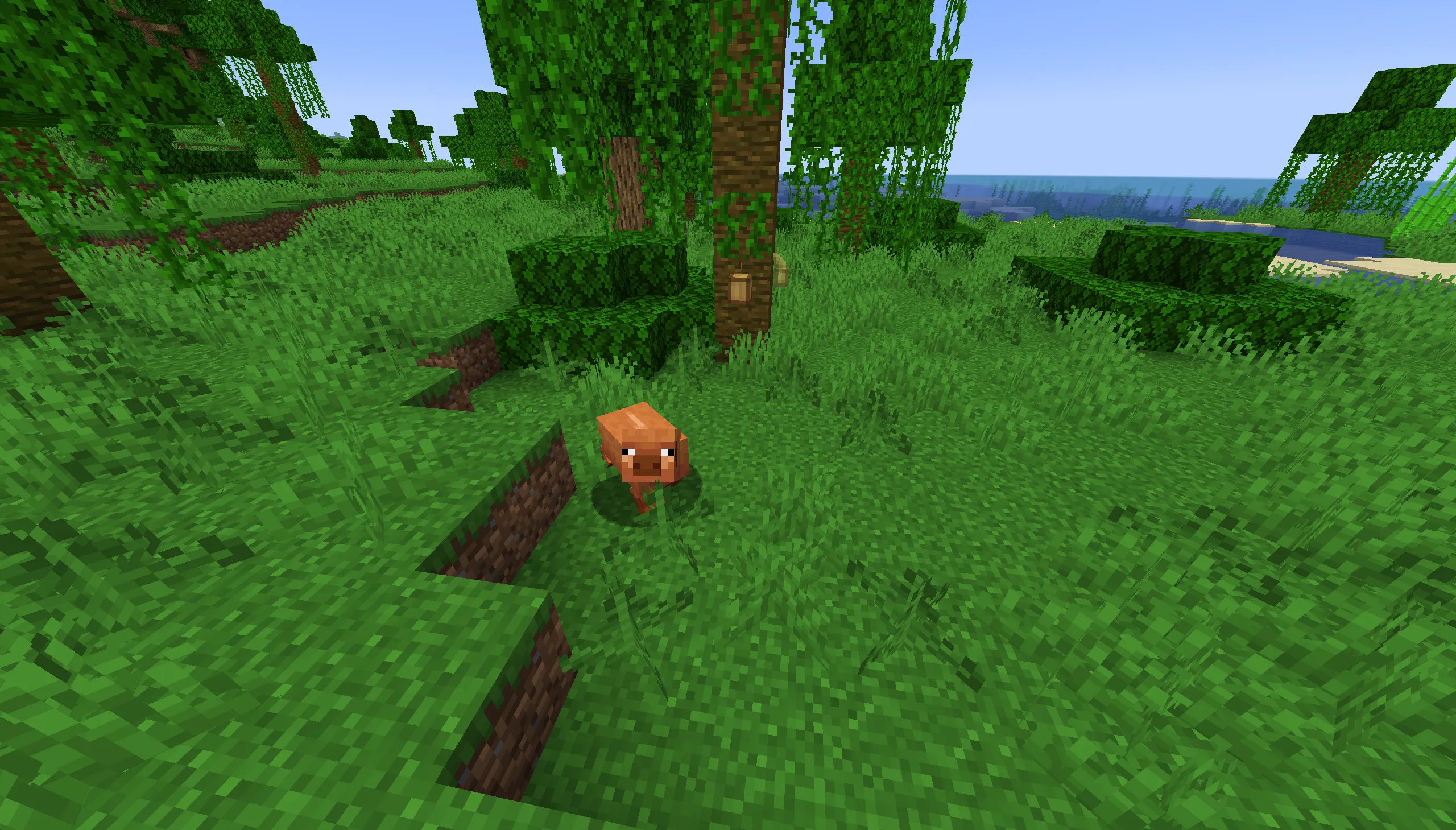 Pig Biome Variants  — скриншот 1 (Текстуры, Minecraft)