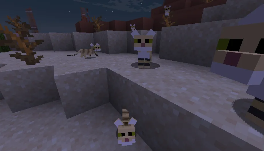 some cats and wild cats, Текстуры, Minecraft