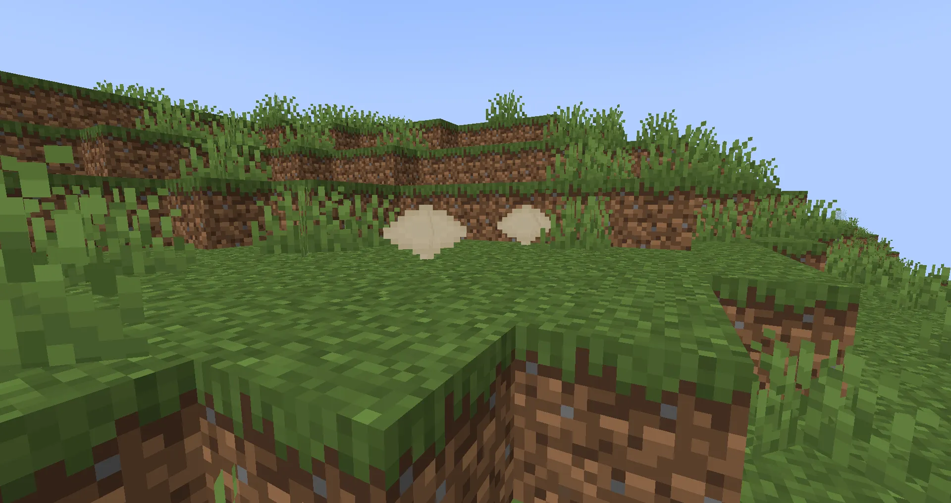 Shroom Core, Моды, Minecraft