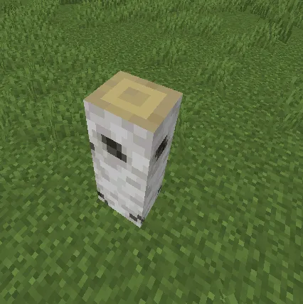 birch forest, Моды, Minecraft