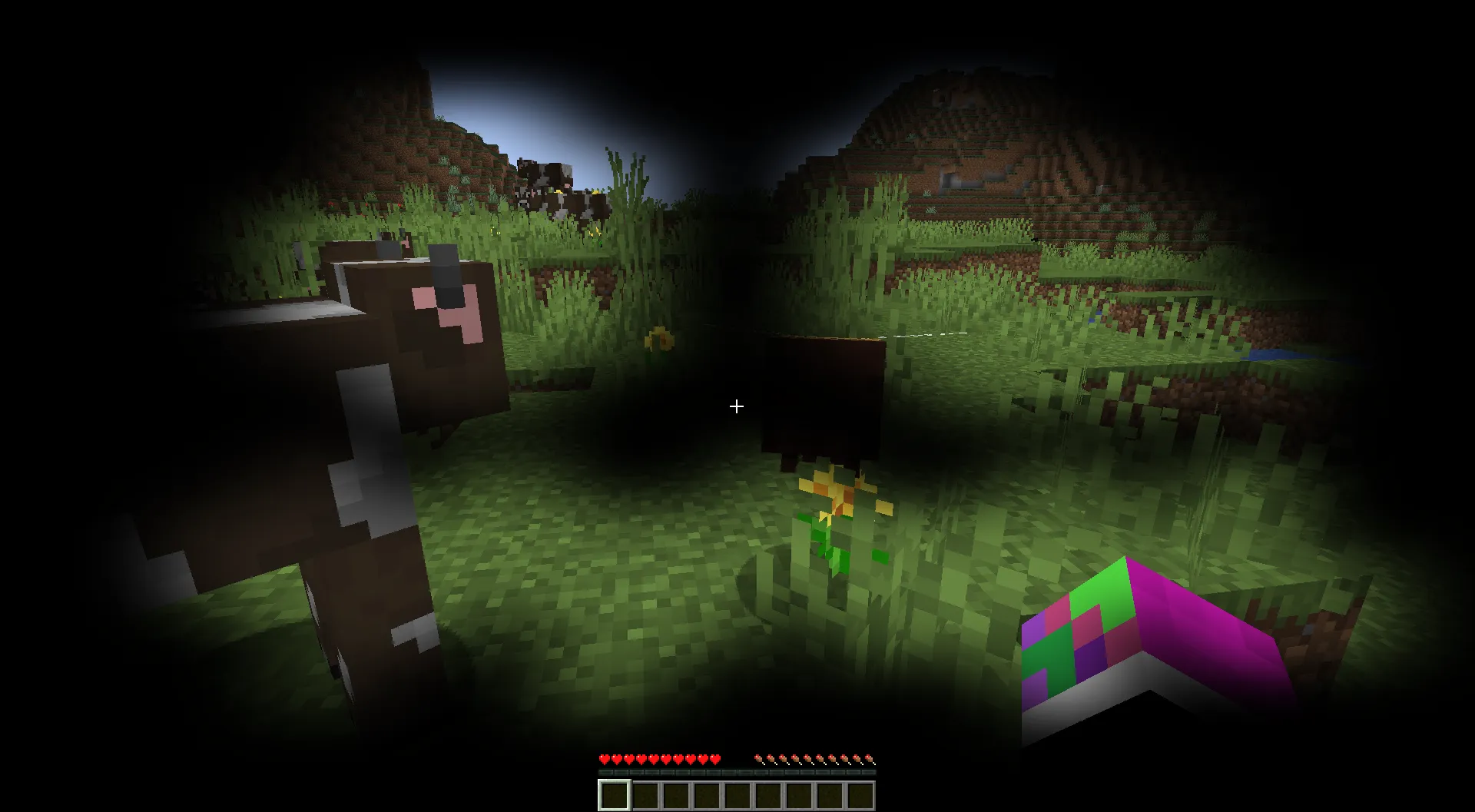 Enderman_pumpkin[1.19.3~1.16.5], Текстуры, Minecraft