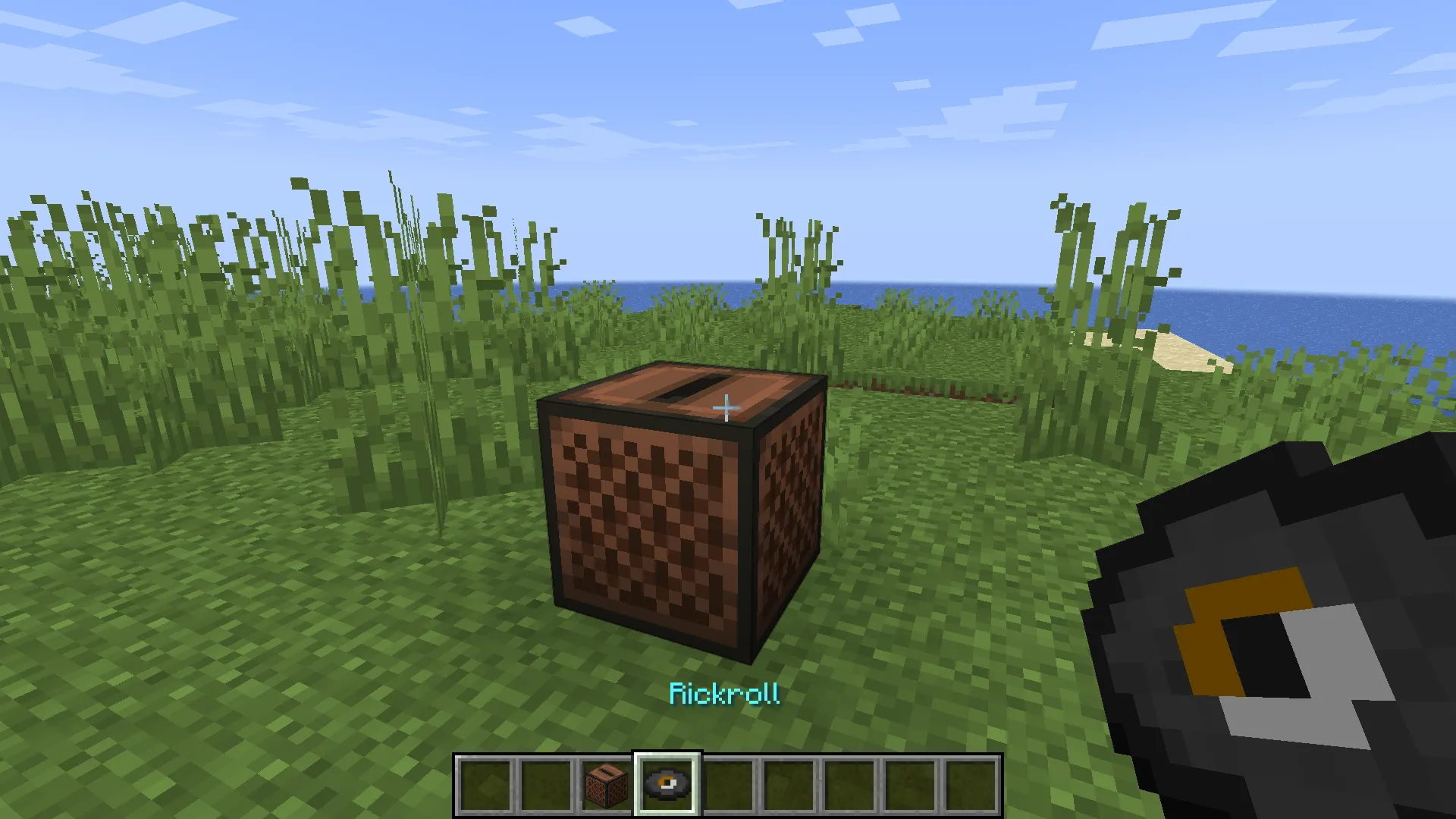 Rickroll Music, Моды, Minecraft