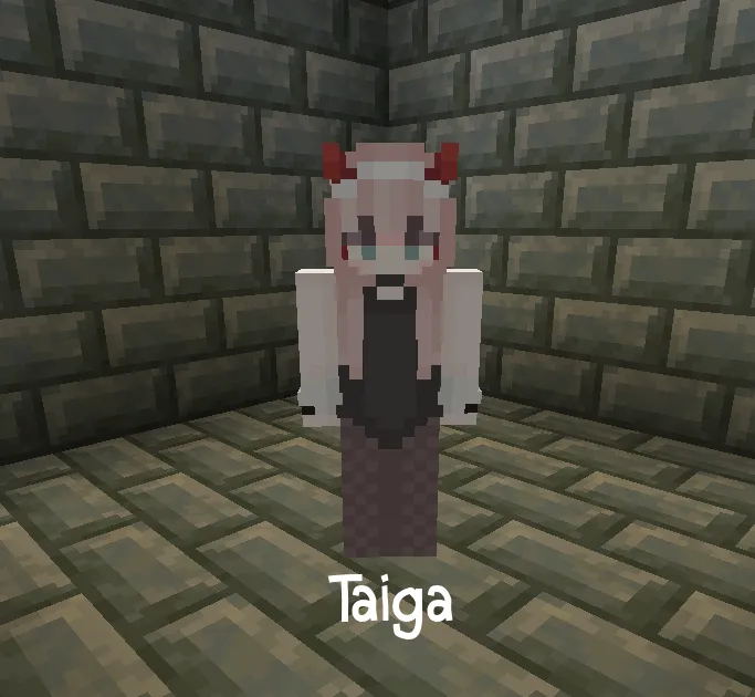 Waifu Villagers, Текстуры, Minecraft