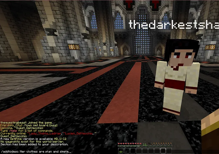 Player Descriptions — скриншот 2 (Плагины, Minecraft)
