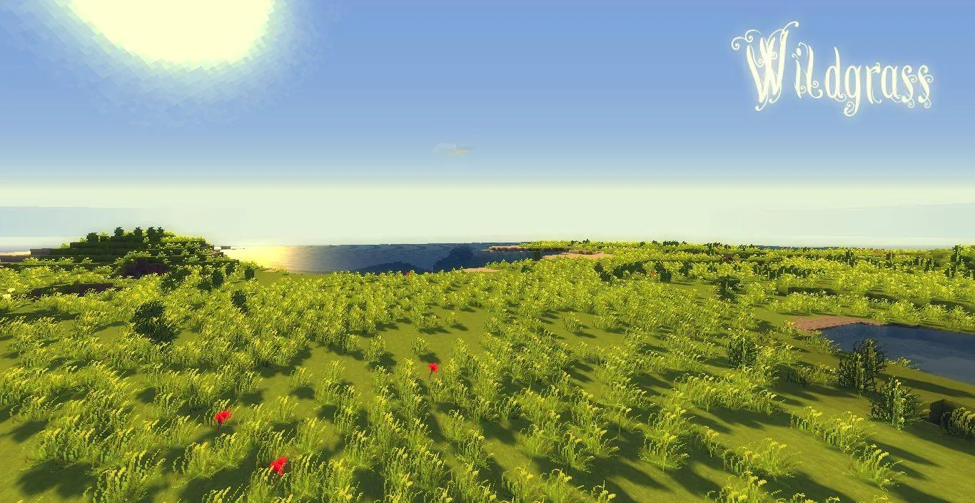 SummerFields — скриншот 15 (Текстуры, Minecraft)