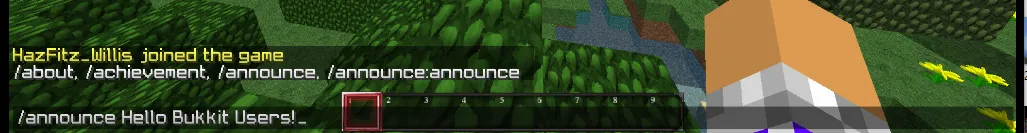 Server Announcer — скриншот 3 (Плагины, Minecraft)