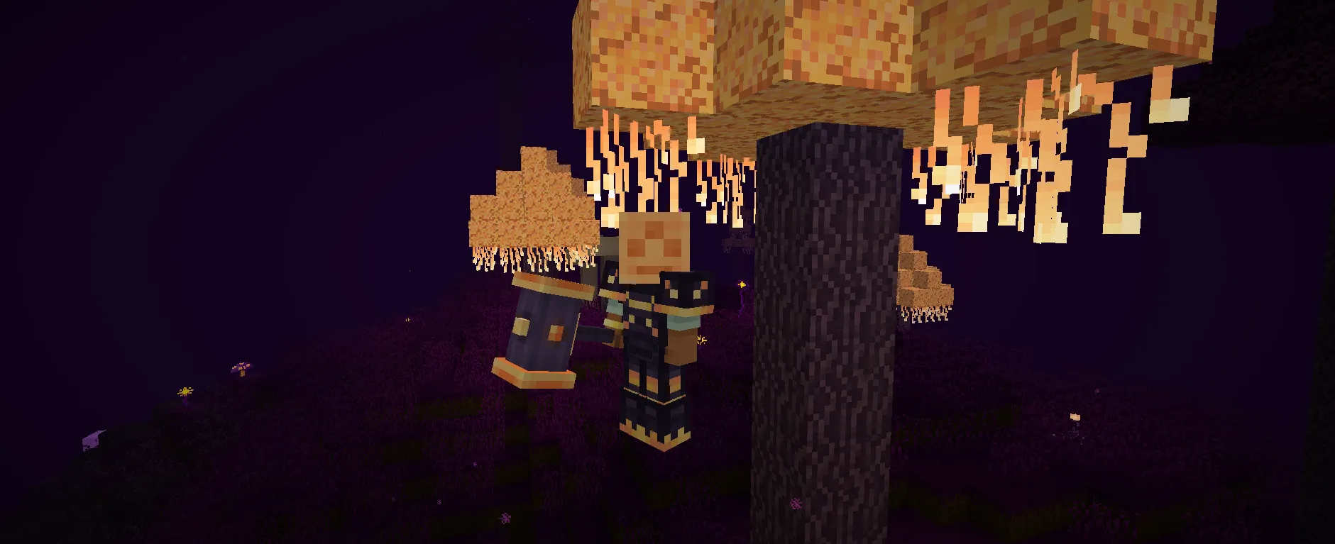 Twilight Shadows, Моды, Minecraft