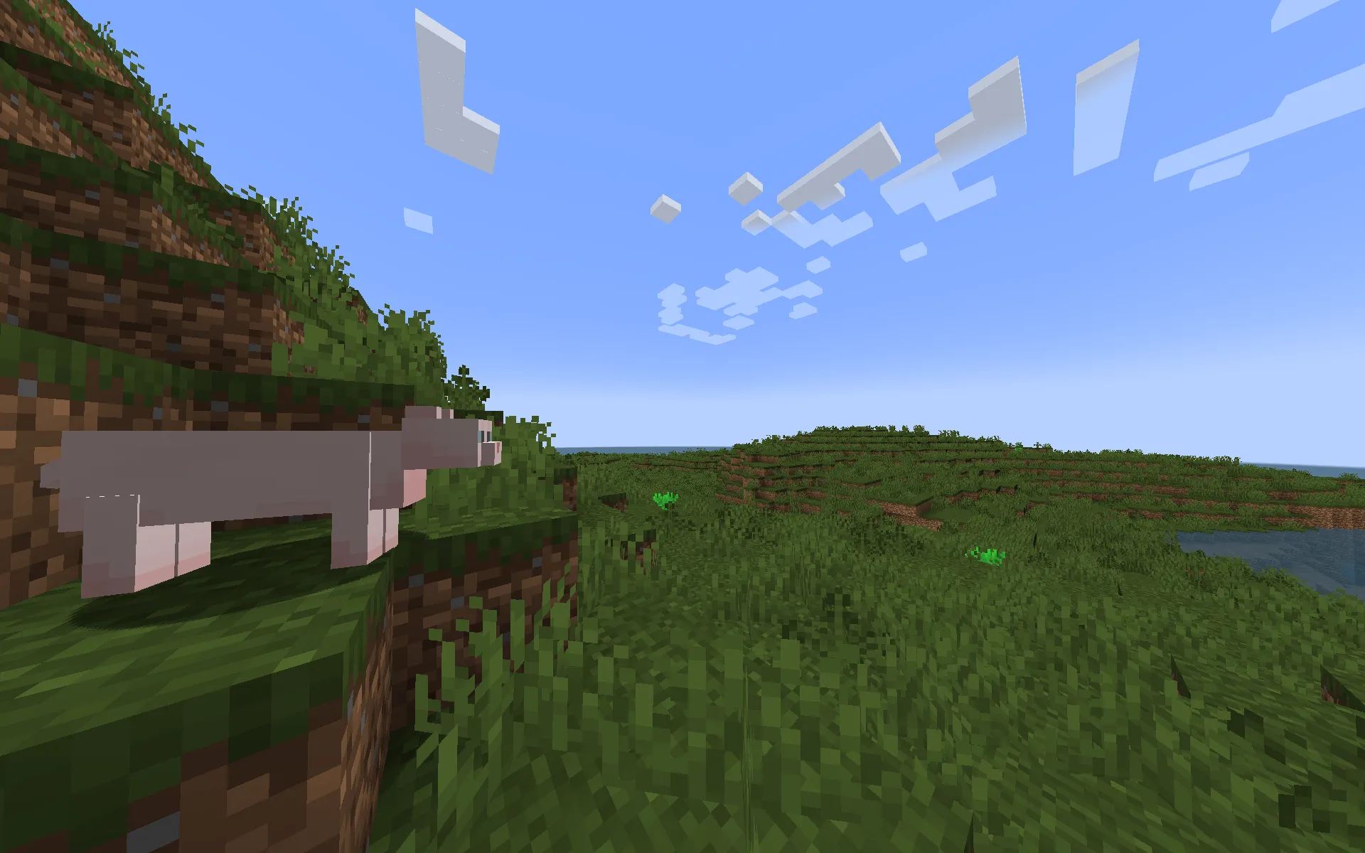 Sorvia (Cancelled), Моды, Minecraft