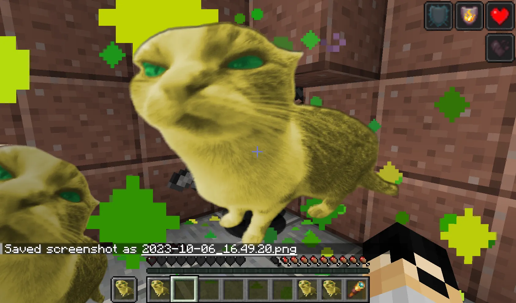 Goofy ahh cats of undying, Текстуры, Minecraft