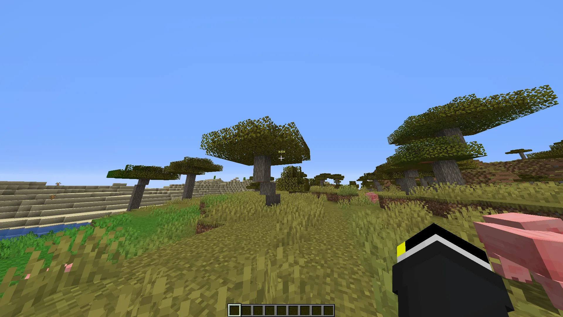 Togglesprint Viewer, Моды, Minecraft
