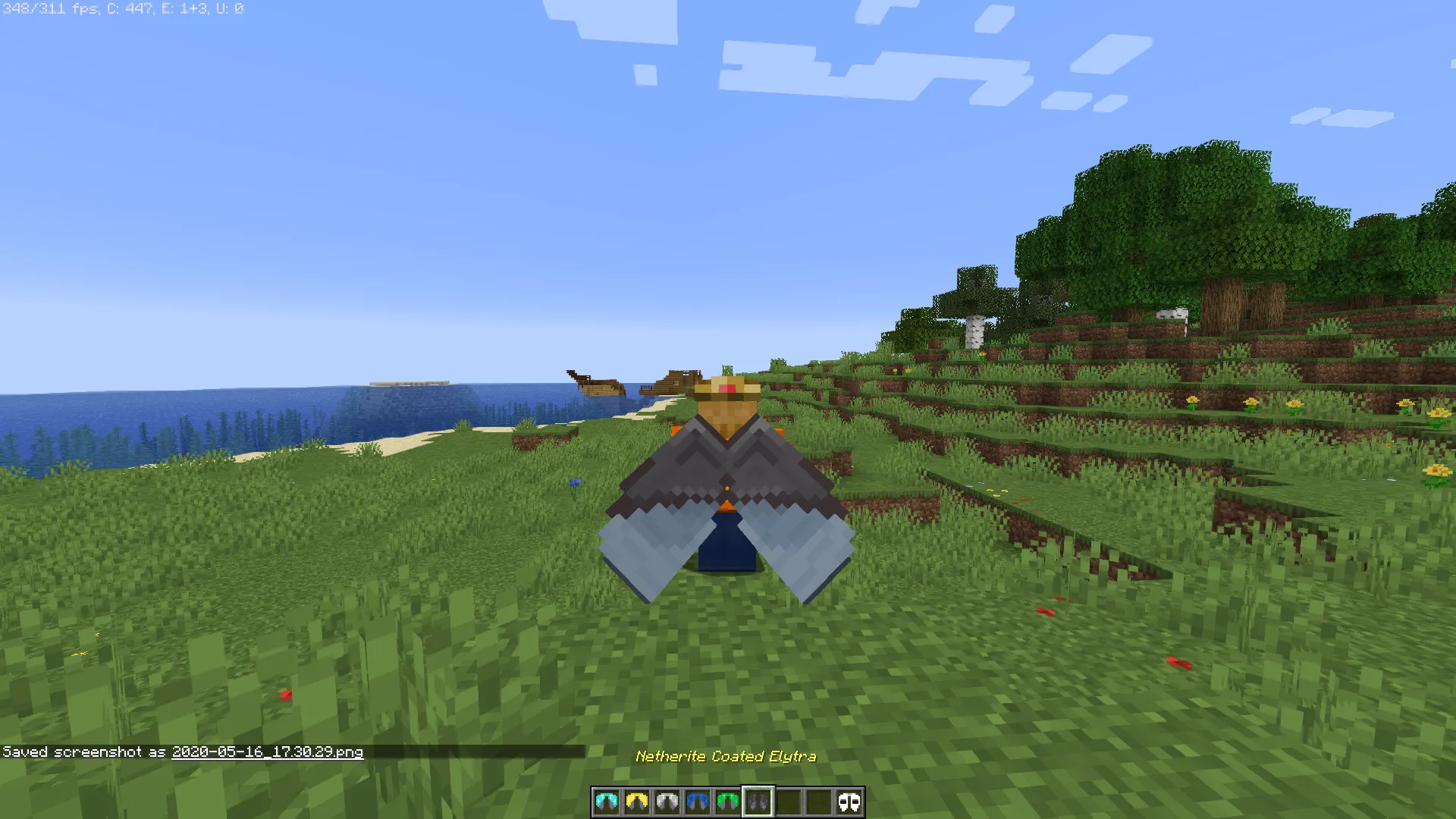 Cosmetic Elytra, Текстуры, Minecraft