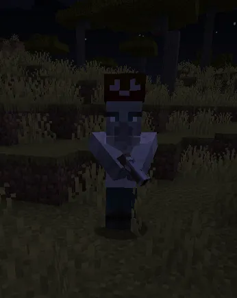 Pirates & Treasures, Моды, Minecraft