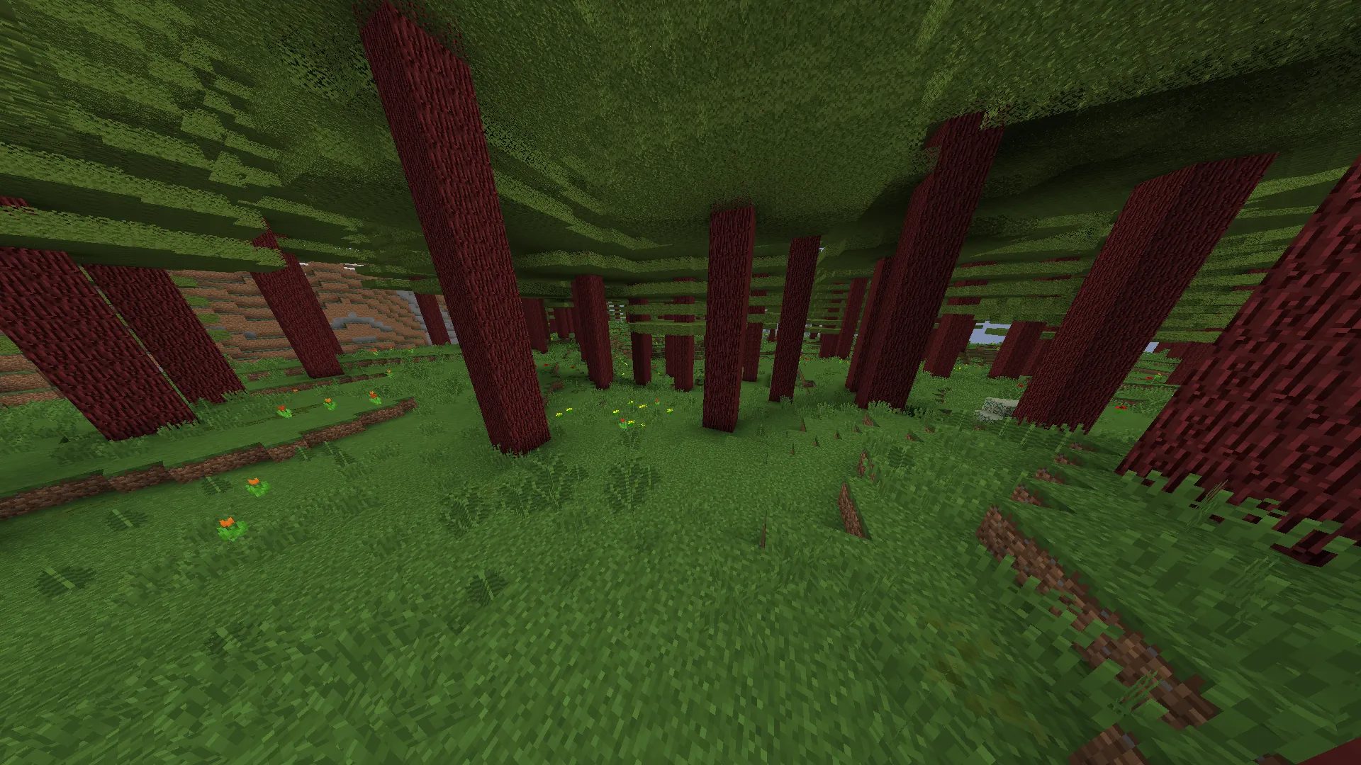 Nanex's Redwood Biome — скриншот 3 (Моды, Minecraft)