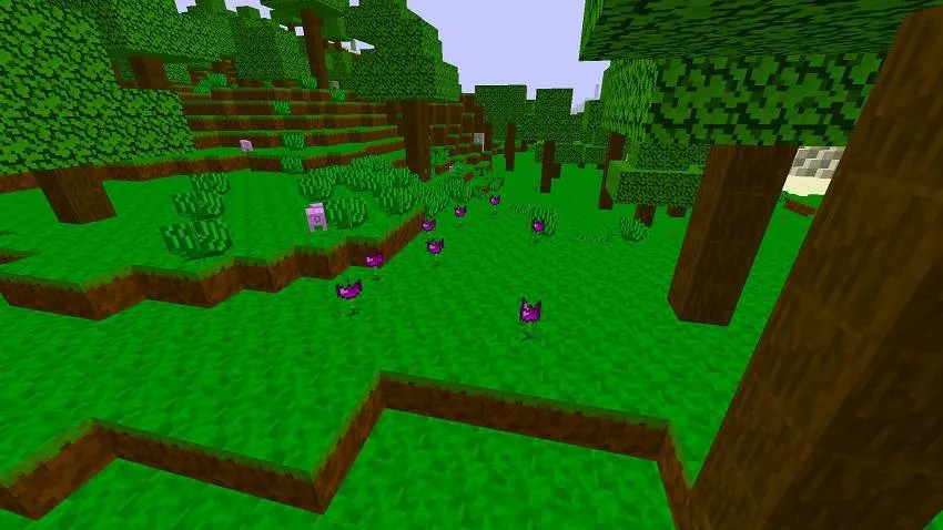 DraganBor's New Dimensions, Моды, Minecraft