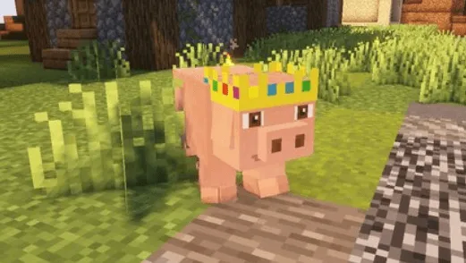 A Minecaft Movie Mobs, Текстуры, Minecraft