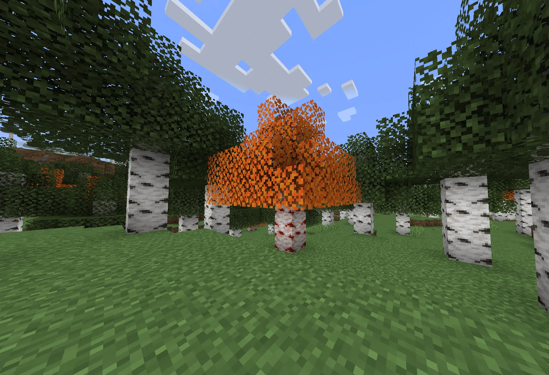 More Trees — скриншот 1 (Моды, Minecraft)