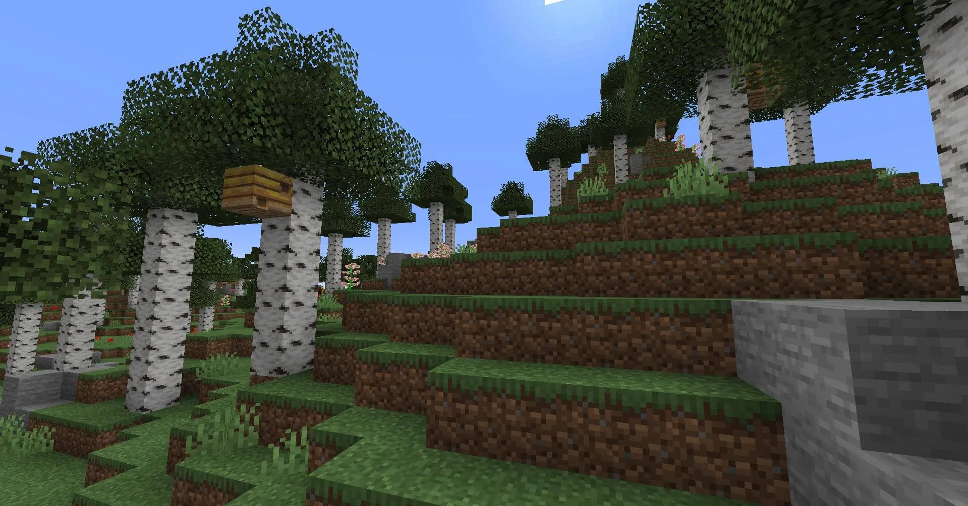 Biome Plus, Моды, Minecraft