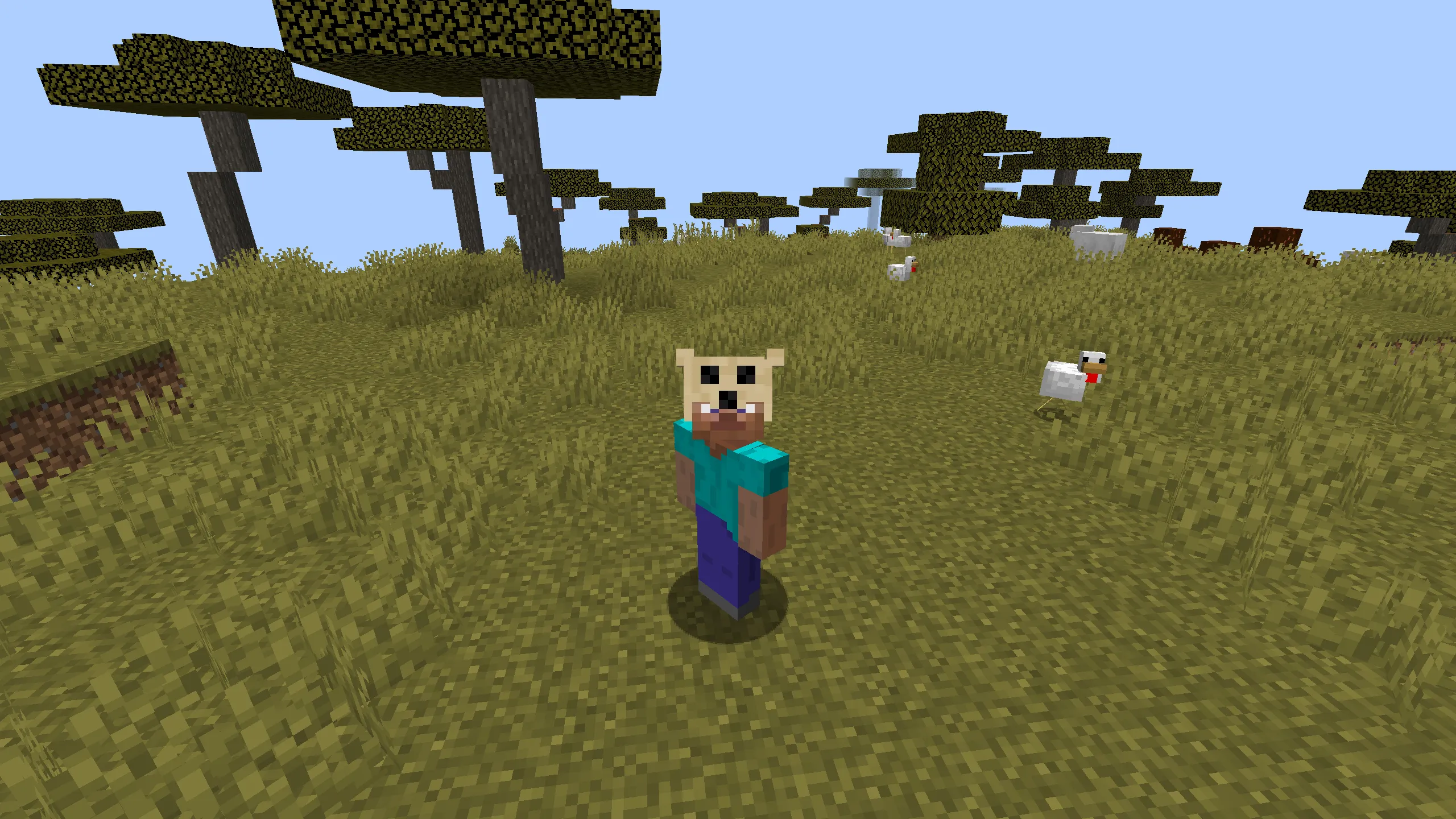 Manda's Stuff, Моды, Minecraft