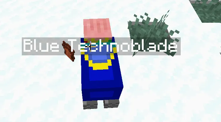 Technoblade PIg Nametag, Текстуры, Minecraft