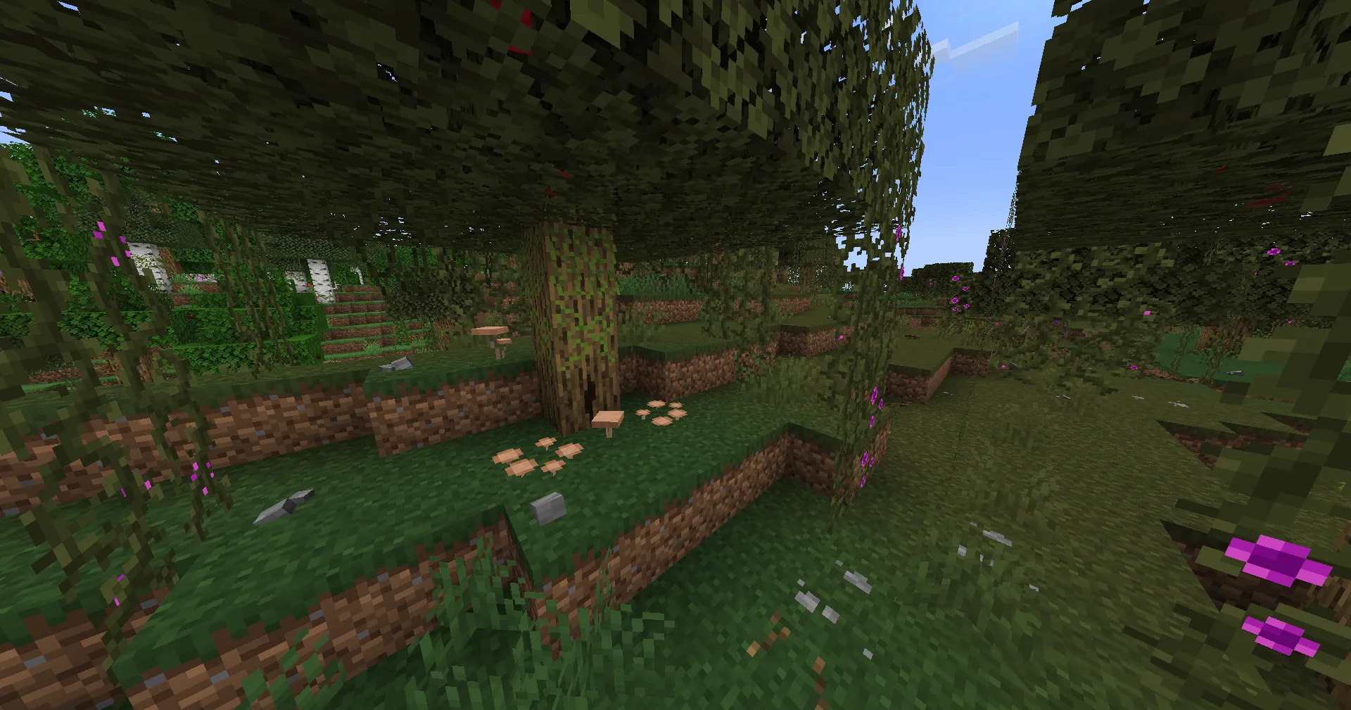 Musgo, Текстуры, Minecraft