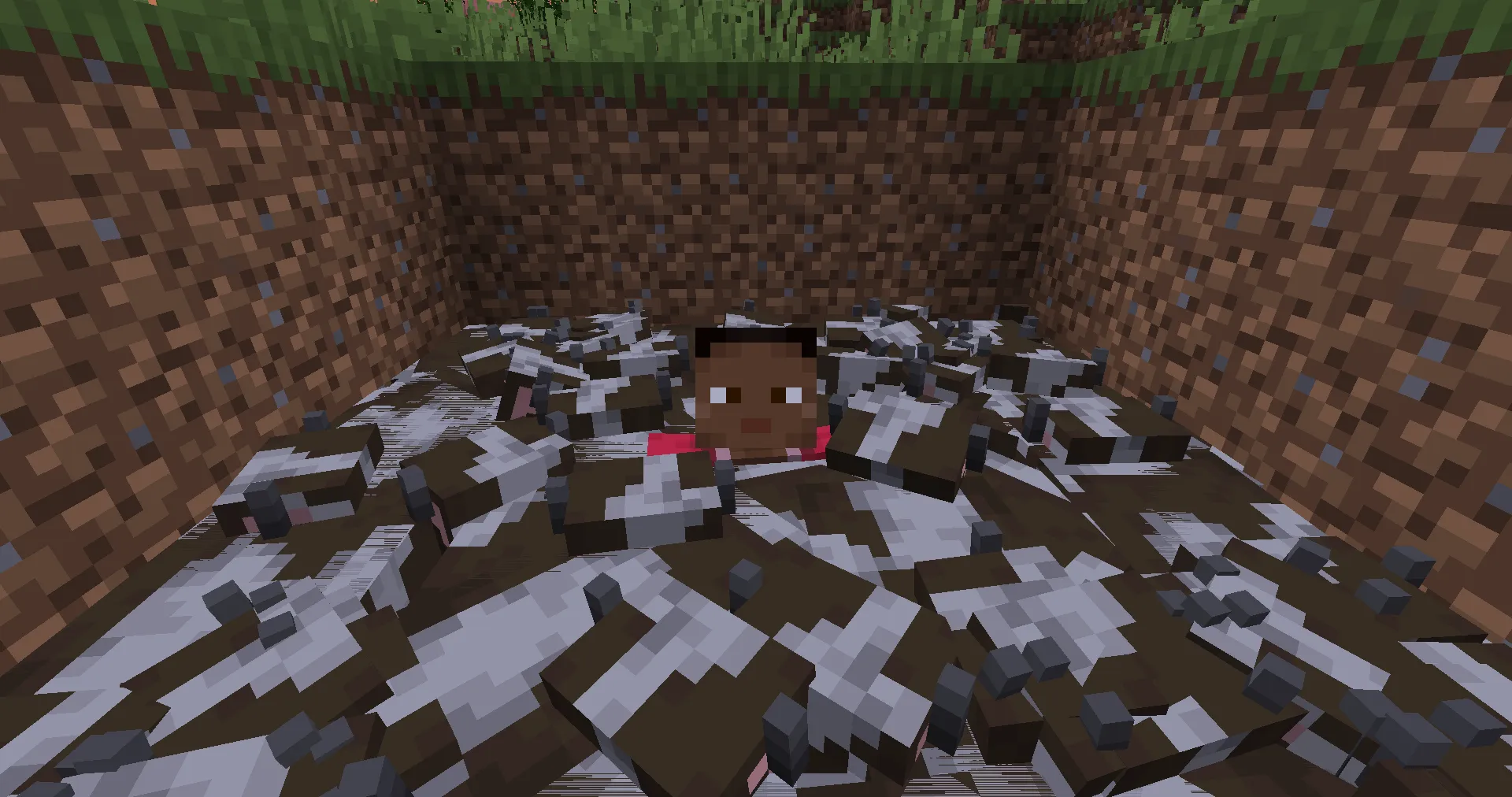 Don't Touch Me!, Моды, Minecraft