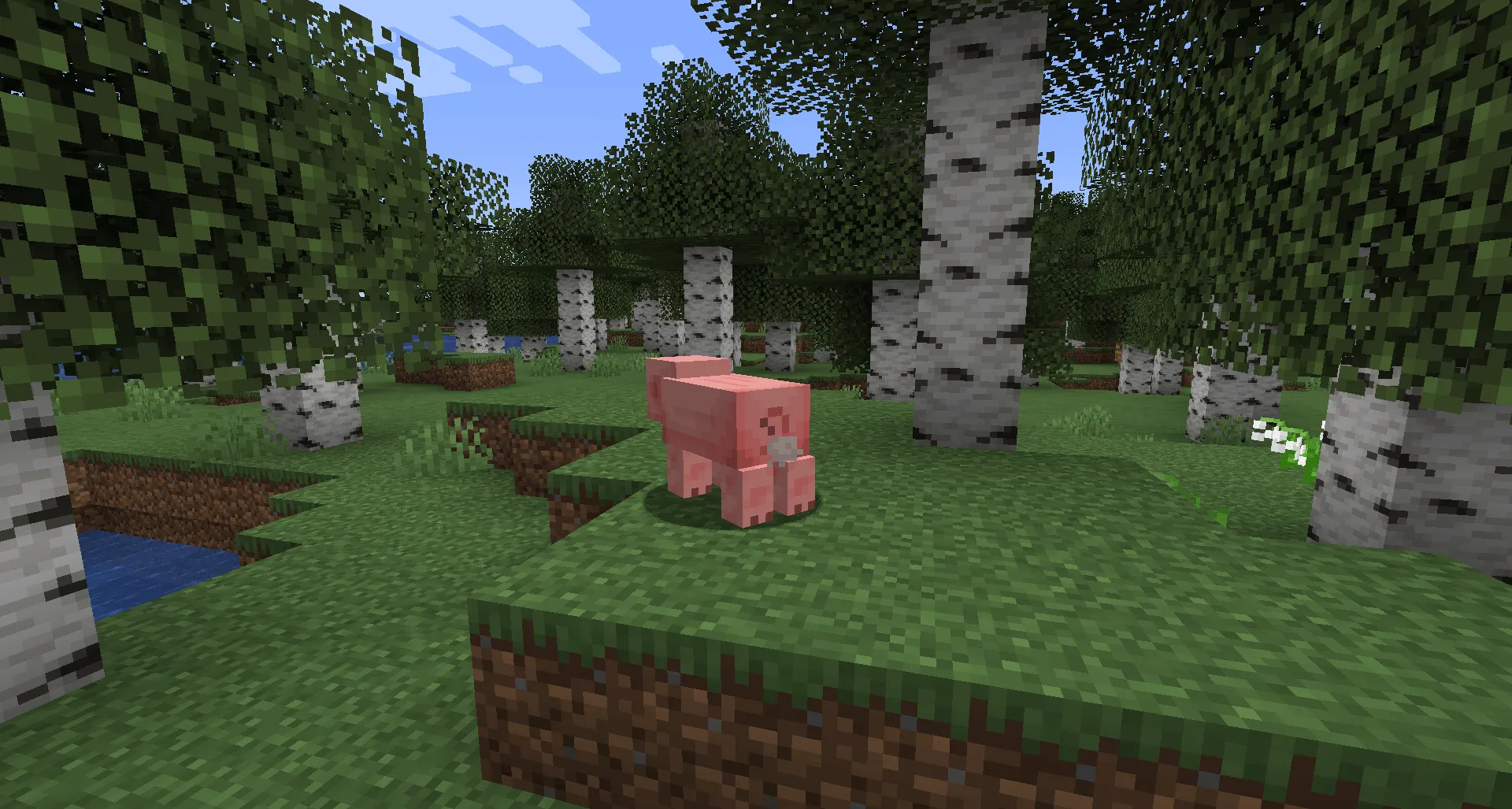 Flatulence Update (The Fart Mod), Моды, Minecraft